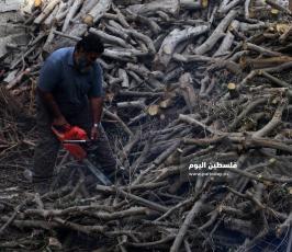 بيع الحطب مع اقترب فصل الشتاء (14).jpg