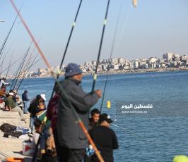 صيد بالصنارة في ميناء غزة البحري (15).JPG