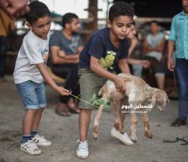 عيد الاضحى ‫(173447293)‬ ‫‬.jpg