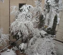 إيران  خلال المنخفض الجوي   ‫(44564994)‬ ‫‬.jpg