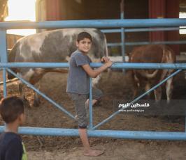 عيد الاضحى ‫(173447279)‬ ‫‬.jpg
