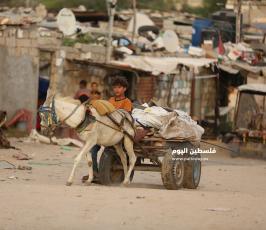 أزمة الكهرباء و حصار سكان قطاع غزة (7).JPG
