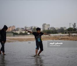 منخفض ‫(260057866)‬ ‫‬.jpg