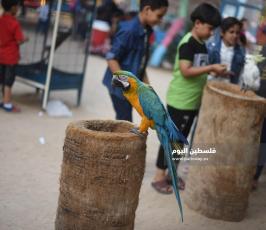 حديقة حيوان ‫(360031258)‬ ‫‬.JPG