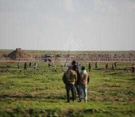 مسيرات العودة (29).JPG