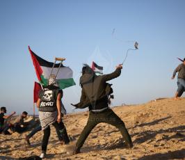 الحراك البحرى (23).JPG