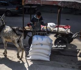 الاونروا (4).jpg