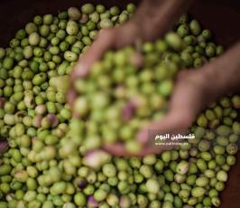 سوق الزيتون ‫(37482939)‬ ‫‬.jpg