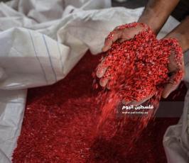 صناعة وطنية  (27).jpg