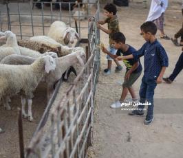 عيد الاضحى ‫(173447281)‬ ‫‬.jpg