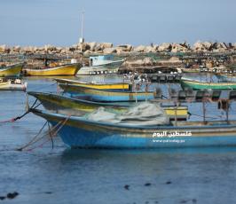 بحر غزة (1).JPG