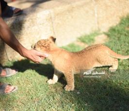 اشبال رفح ‫(302713028)‬ ‫‬.JPG