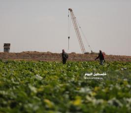 مزارعين على حدود غزة (1).JPG