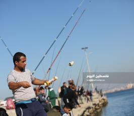 صيد بالصنارة في ميناء غزة البحري (4).JPG