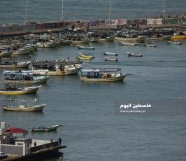 ميناء غزة (6).JPG