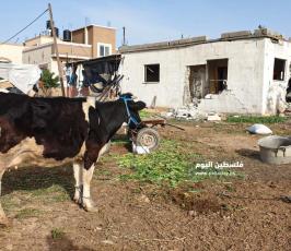 عائلة النسر  (10).jpeg
