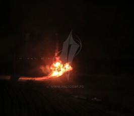 الإرباك الليلي  ‫(42271249)‬ ‫‬.JPG