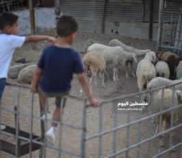 عيد الاضحى ‫(173447278)‬ ‫‬.jpg