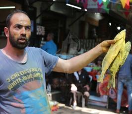 فسيخ فى أسواق غزة  ‫(38928897)‬ ‫‬.JPG