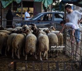 اضحى 2020 ‫(59924196)‬ ‫‬.jpg
