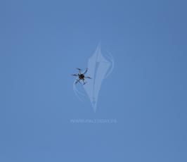   جمعة عائدون رغم أنفك يا ترامب ‫(42664461)‬ ‫‬.JPG