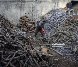 بيع الحطب مع اقترب فصل الشتاء (3).jpg