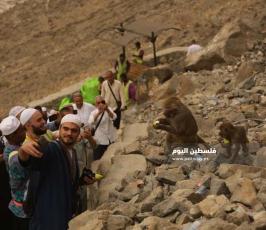 حجاج بيت الله الحرام يطعمون الحيوانات الفواكه ‫(38535687)‬ ‫‬.jpeg