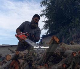 بيع الحطب مع اقترب فصل الشتاء (26).jpg