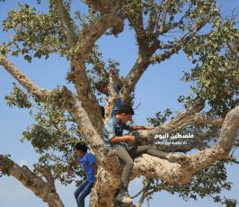 تلة المنطار ‫(39059971)‬ ‫‬.JPG