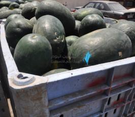 البطيخ