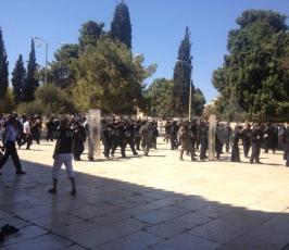 اصابات واعتقالات قي اقتحام الاحتلال لباحات المسجد الأقصي
