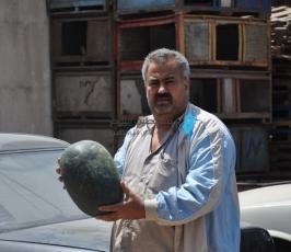 البطيخ