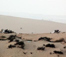 الجيش المصري يستنفر قواته في سيناء لمهاجمة لتطهيرها من المسلحين الإرهابيين