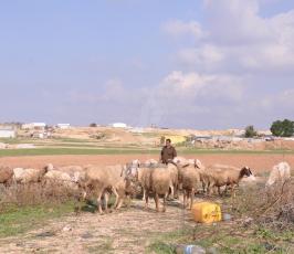 رعاة الاغنام