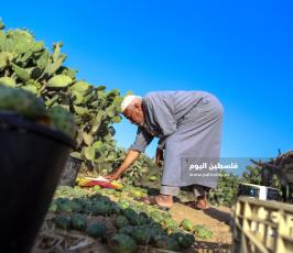 الصبر (4).jpg