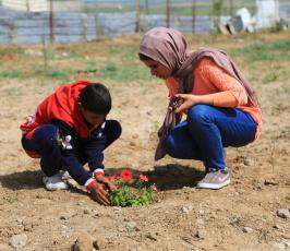 أطفال غزة يزرعون الورود على ركام المنازل المدمرة  ‫(29417867)‬ ‫‬