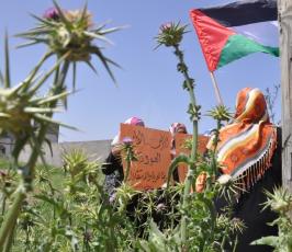 بالصور:في ذكرى يوم الأرض.. غزيون يزرعون الأشجار على الحدود