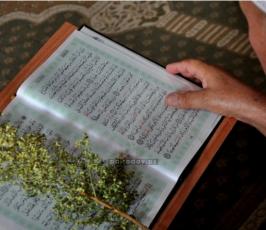 مواطنون من غزة يرتلون القراءن في المسجد العمري الكبير في الثامن من رمضان المبارك