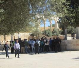 صور مجندات ومخابرات ومستوطنين وسياح يقتحمون المسجد الأقصى