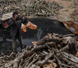 حطب في غزة لمقاومة الطقس البارد ‫(38208010)‬ ‫‬