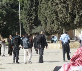  مستوطنون يقتحمون المسجد الأقصى المبارك وسط حراسة شرطية مشددة
