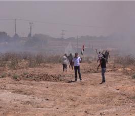 بالصور: الفلسطينيون يحيون ذكرى النكبة الـ66 على احتلال فلسطين