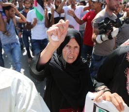  مسيرة للمزارعين والصيادين  للمطالبة بأنهاء الانقسام  ‫(38208003)‬ ‫‬