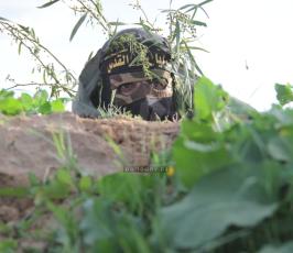 وحدة التعبئة سرايا القدس