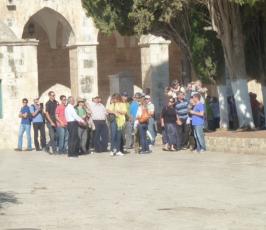 صور مجندات ومخابرات ومستوطنين وسياح يقتحمون المسجد الأقصى