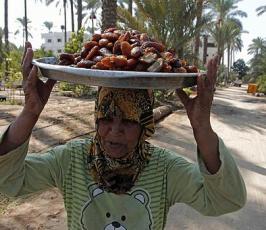 موسم جني البلح فقطاع غزة