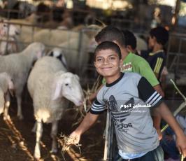 عيد الاضحى ‫(173447283)‬ ‫‬.jpg