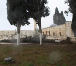 الثلوج تتساقط على المسجد الاقصى وقبة الصخرة