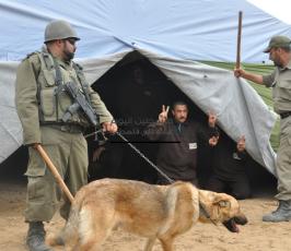 عرض يحاكي معاناة الاسرى بالسجون