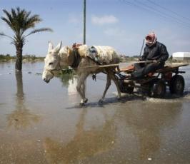 ارتفاع منسوب وادي غزة يغرق منازل المواطنين بالمغراقة